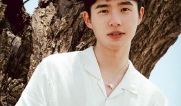 95后校草明星爆料视频,独家爆料背后的青春故事